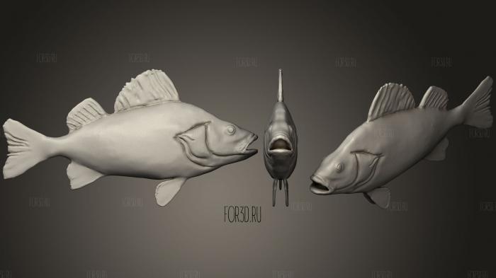 Perch Fish 3d stl модель для ЧПУ